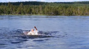 Нерест Хариуса  # Морошка ТВ