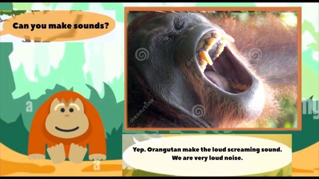 Meet The Animals 82 Orangutan Little Fox