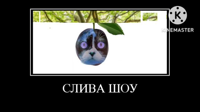 ЮТУБЕРЫ + ШИЗА = (2) смотреть онлайн