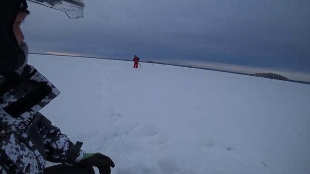 Kallavesi. Sotka. Зимняя рыбалка с Panoptix LiveScope.