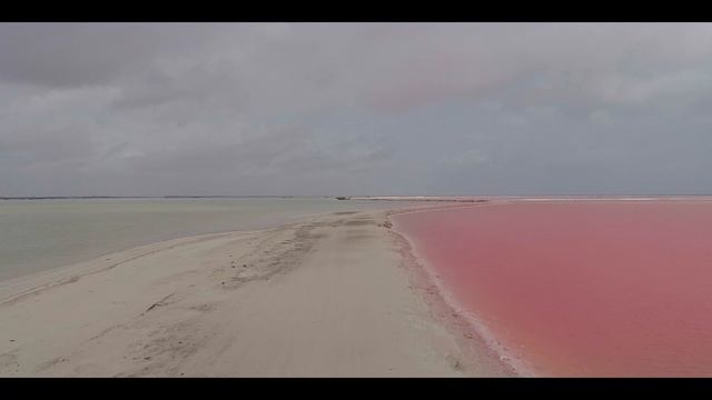 Rio Lagartos - Yucatán - Drone 4K смотреть онлайн