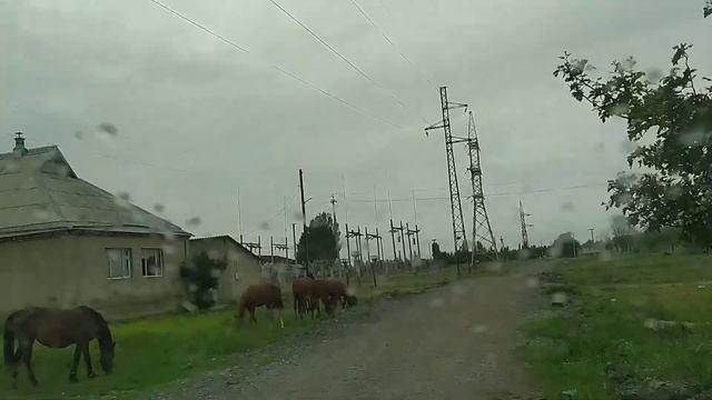 Едим с.Петровка кусочек у.Заводская смотреть онлайн