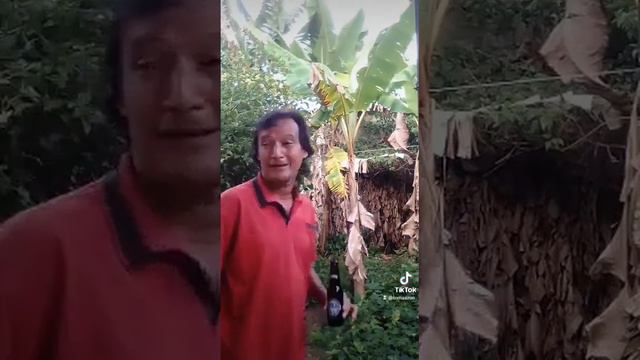 Yo ❤️ Amo A Techi 🤣😂 | Tomas Ron #humorvenezolano смотреть онлайн