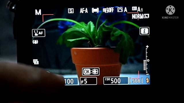 Nikon Z50 Full Manual Mode *Tutorial* M. A.S.P ! (Part 2) Hindi! смотреть онлайн