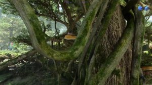 Avatar frontiers of pandora где найти пологовый корень
