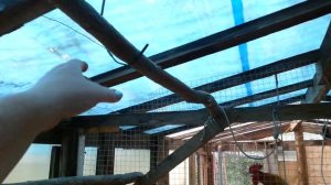 Как сделать насест для кур?...Отвечаю на вопрос...