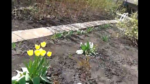 У мамы на даче .Новая Эра!!!))) смотреть онлайн