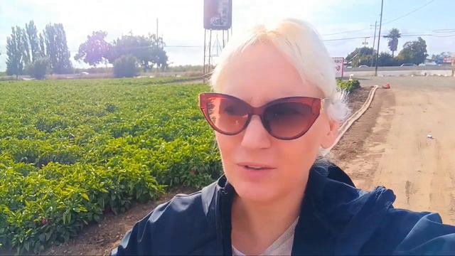 КАЛИФОРНИЯ Дорога на Тихий Океан смотреть онлайн