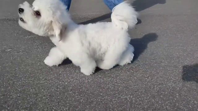Клиф 3 смотреть онлайн