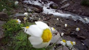 Дагестан.  На стоянке чабанов в Тляратинском заказнике. Жизнь чабанов и суровая красота Кавказа