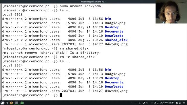Using the exFAT partition for shared data storage on Arch Linux смотреть онлайн