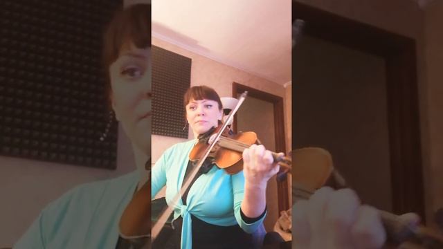 Ридинг. Концерт си минор 1 часть. Исполнено под Искусственный аккомпанемент. смотреть онлайн