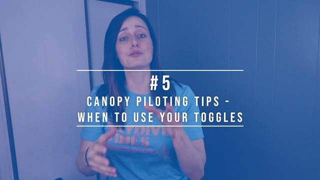 Best Skydiving Videos Of 2019 | Top 10 Of Skydive Vibes