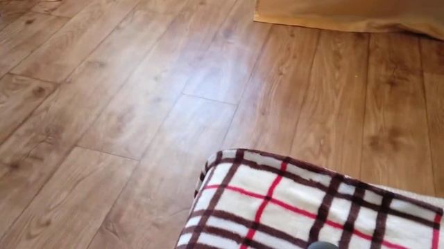 Skyworth G6 обзор после покупки смотреть онлайн