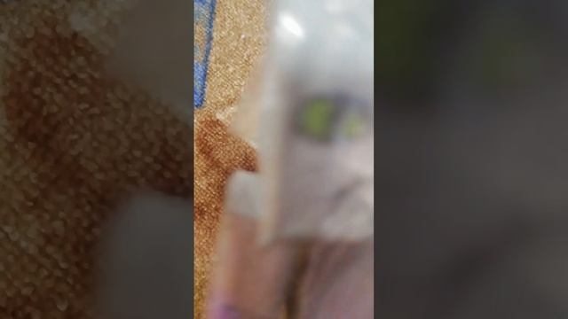 ОБЕД КОТОВ. ОБЕДАЕМ НЕО ОБАЛДЕЛ ПРОСРАЛ МЯЧ! смотреть онлайн