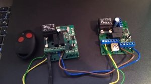 Radio 8113 IP65  +  Logo 8213 IP65