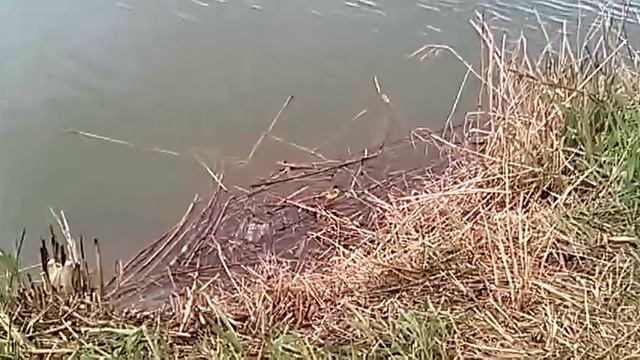 Ессентуки Клевое место_2 смотреть онлайн