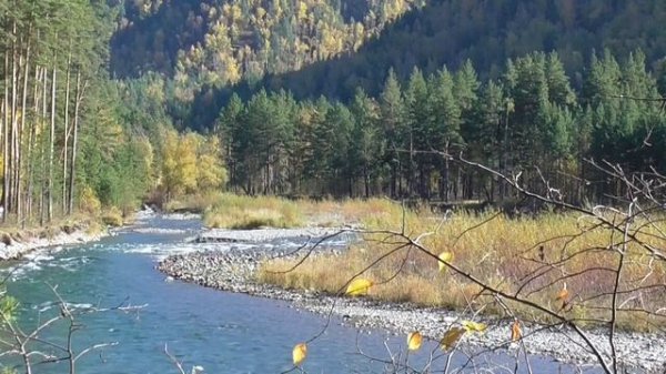 Усиление зрения оздоровление глаз Для женщин Настрои Сытина Г.Н.