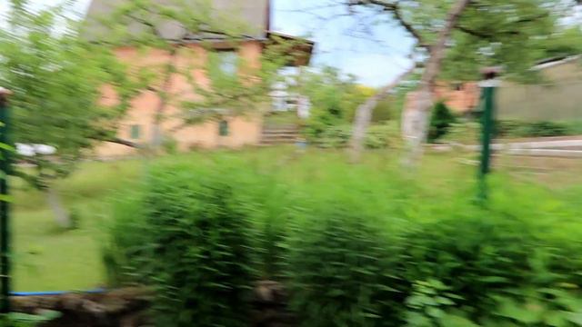 ВЛОГ Наступил на змею! Наводим порядки на даче!