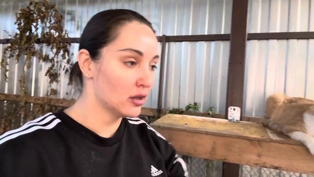 ‼️ПРИЮТУ В РОСТОВСКОЙ ОБЛАСТИ НУЖНА ПОМОЩЬ‼️