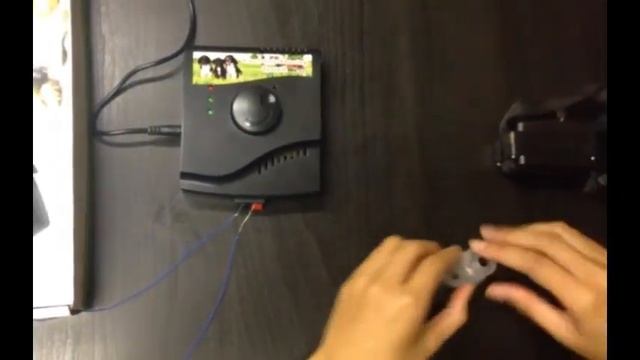 W227 электронный забор Dog Fence System смотреть онлайн