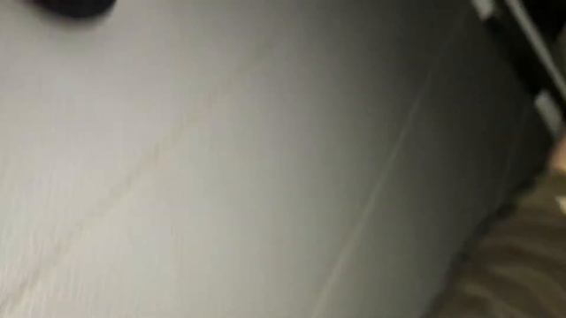Дикий гусь смотреть онлайн