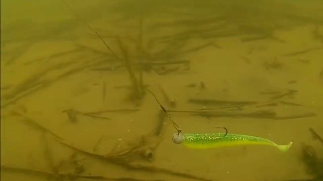 Bass 3 Relax смотреть онлайн