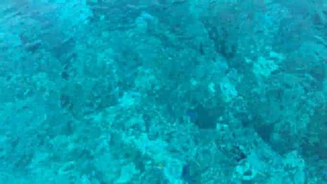 Deep Sea Fishing ? Atlantic Ocean смотреть онлайн