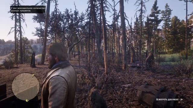 Местоположение всех брошюр - Red Dead Redemption 2 смотреть онлайн