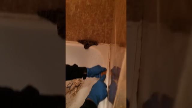 Как очистить силикон от ванной или от керамической плитки. Секрет легко применим, к тому же недорог смотреть онлайн