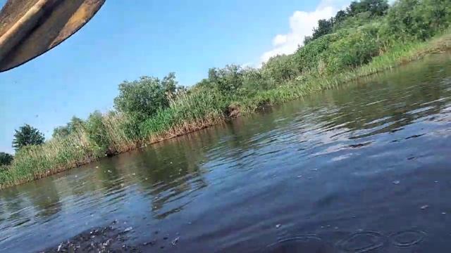Сплав на байдарках по рекам Беларуси. смотреть онлайн