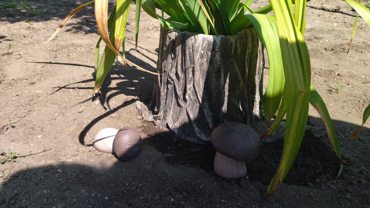 Кашпо пенечки из цемента и старых тряпок смотреть онлайн