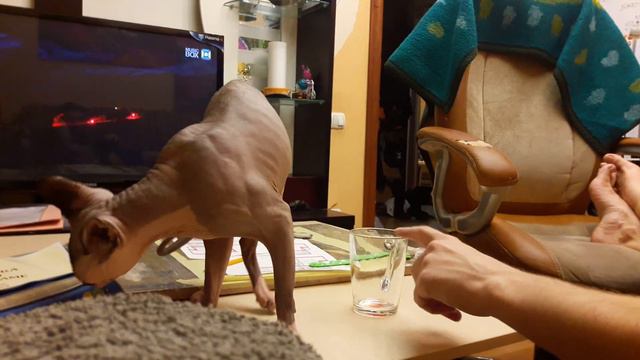 Хубаксис1 11.2017 смотреть онлайн