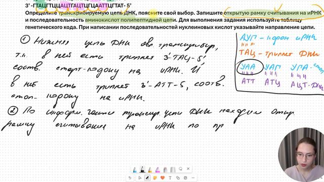 Задачи на открытую рамку считывания. Номер 27 ЕГЭ по биологии. #биология #егэбиология #егэ2024
