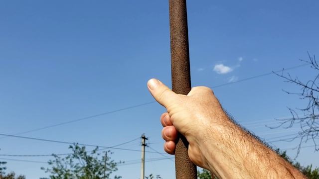 Убираю старые побеги на ежевике. смотреть онлайн