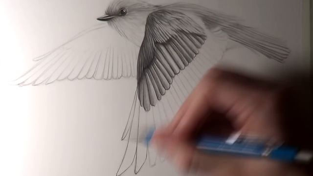 How to Draw Birds Flying смотреть онлайн