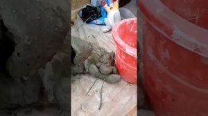 ВТОРАЯ ЖИЗНЬ МЯГКИХ ИГРУШЕК??