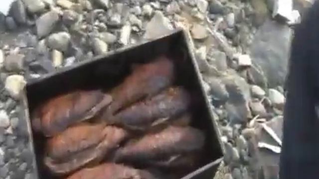 Крутая рыбалка в Сибири. смотреть онлайн