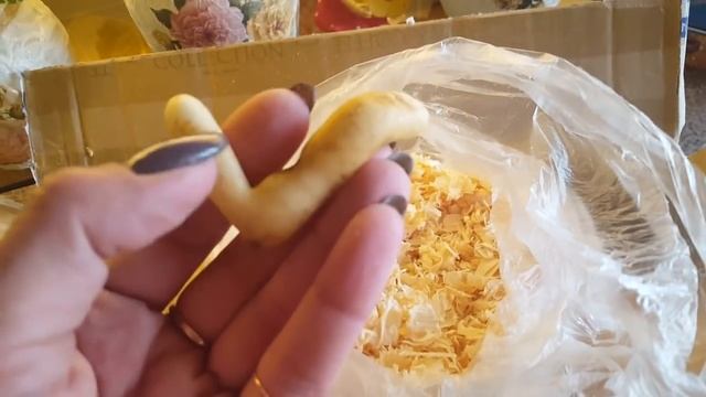 Посылка от Димы. Аморфофаллус и Глориоза! смотреть онлайн