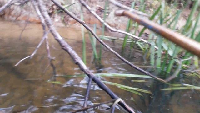 Мини - щука. Ну это вообще конечно... смотреть онлайн