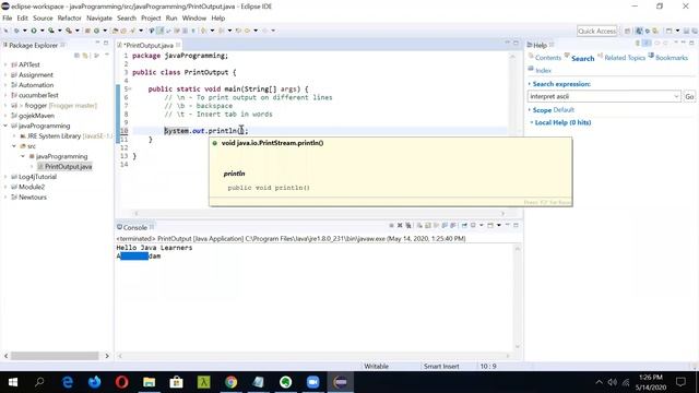 Java Programming | Geeky Rabbit | Printing Output To Console смотреть онлайн