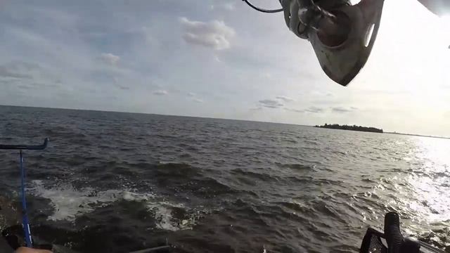 Рыбалка на фидер с продукцией ФЛАГМАН . Осенний кубок СПб .2019 г. Часть 2 . смотреть онлайн