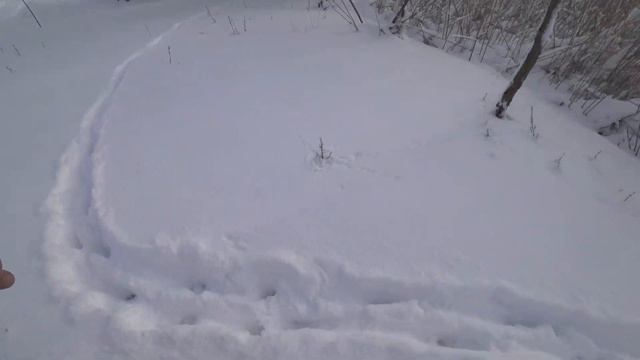 День Рождения Моего Канала!!! Снег, Горки, Санки!!! смотреть онлайн