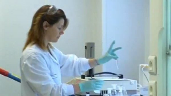 презентация компании Vision International People Group