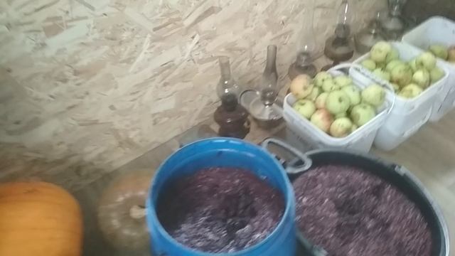 VID_20231022_145553.mp4 смотреть онлайн