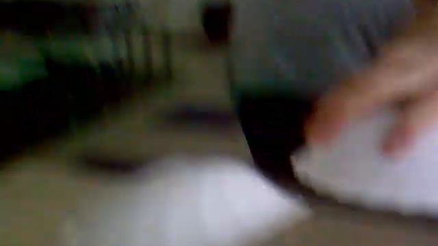 В Столовой LOGGY TV! YAAAAHH! смотреть онлайн