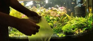 Два Лайфхака для аквариумистов.