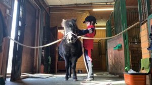 КОНОБЛОГ// Vlog#1. МОЙ ДЕНЬ НА КОНЮШНЕ