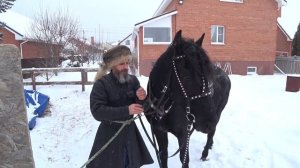 Седло казачьего типа, в полном сборе.Обзор.