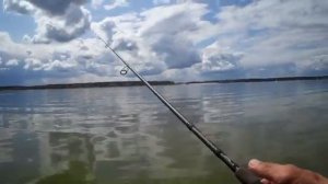 Рыбалка на Можайском водохранилище на спиннинг.  Лето 2019.